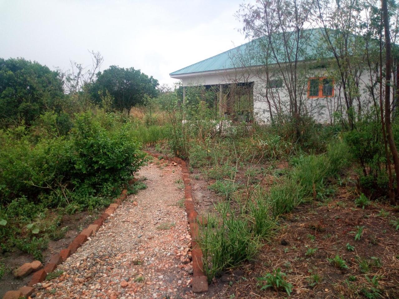 The Elephant Lodge *